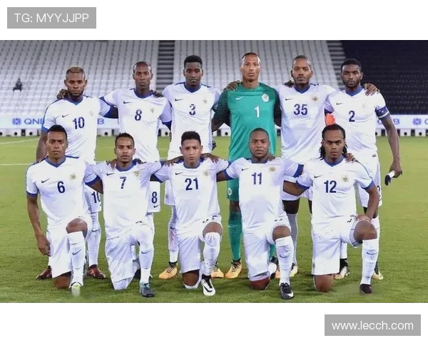 2021年荷兰足球明星的辉煌表现与未来展望分析